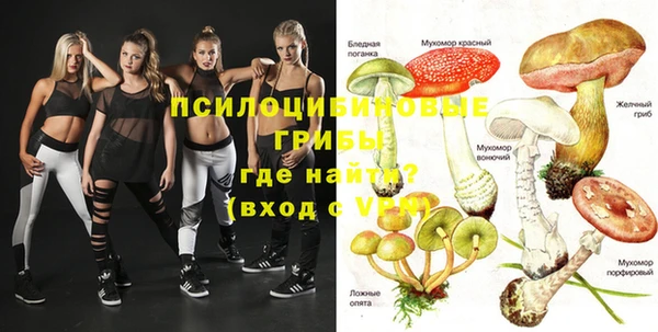 гашик Абдулино