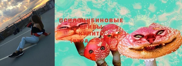spice Абаза