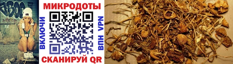 что такое   Холм  Галлюциногенные грибы прущие грибы 